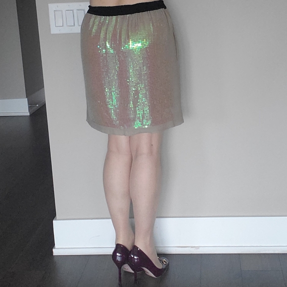 ๐ 2X HOST PICK ๐ BCBG MaxAzria Sequins Silk Skirt - Picture 4 of 15